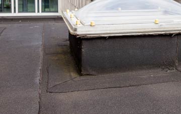 disadvantages of Criggan flat roofs